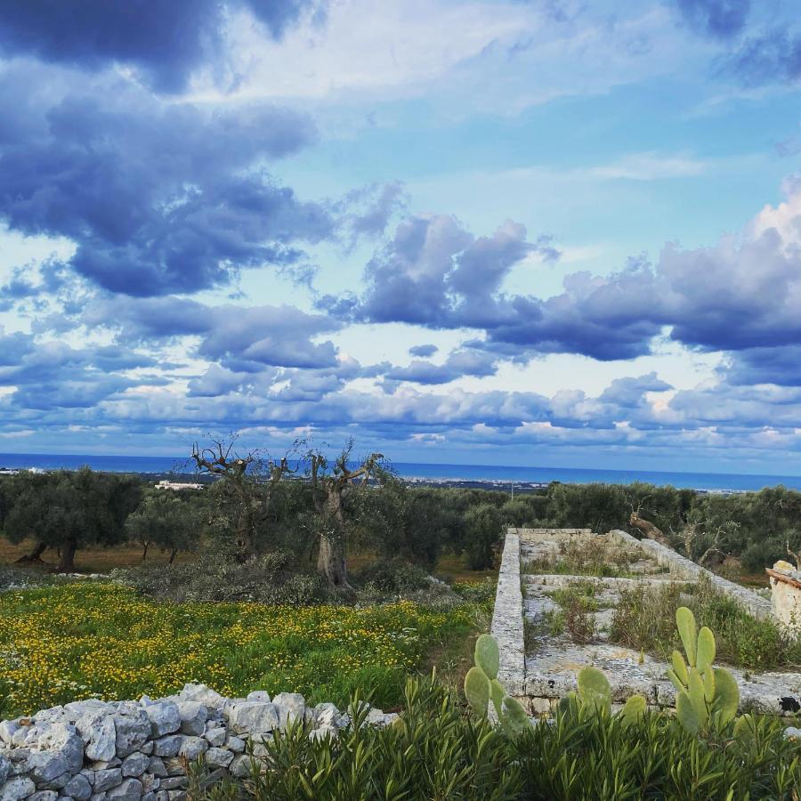 La Guendalina Masseria E Casa Particular Bed and Breakfast Monopoli Buitenkant foto
