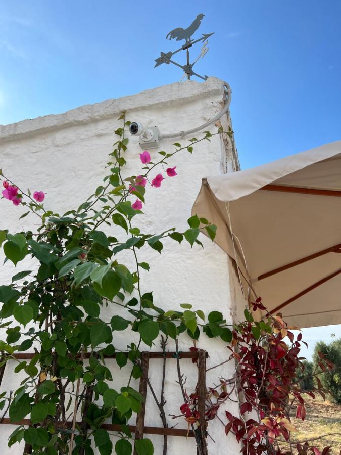 La Guendalina Masseria E Casa Particular Bed and Breakfast Monopoli Buitenkant foto