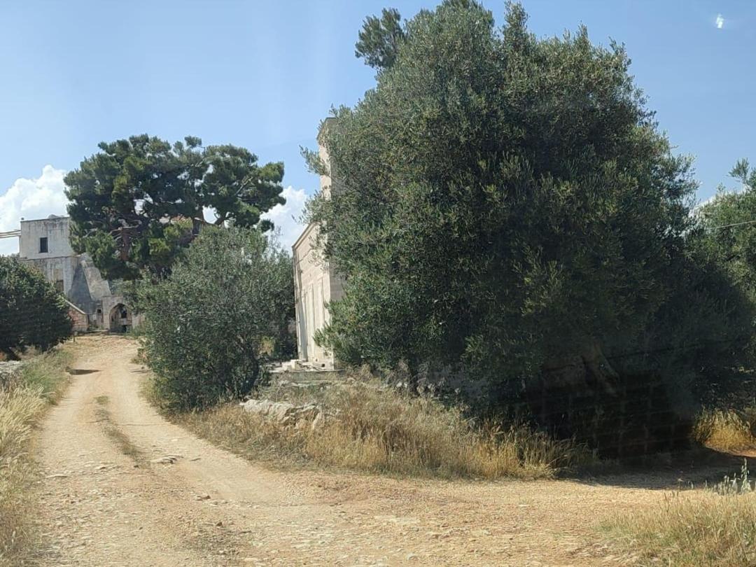 La Guendalina Masseria E Casa Particular Bed and Breakfast Monopoli Buitenkant foto